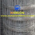 Pet enclosures , Rabbit hutches weld wire mesh | werson